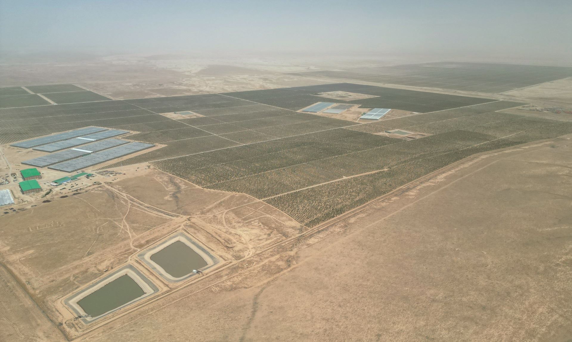 Horticultural Complex with Greenhouse Facilities
