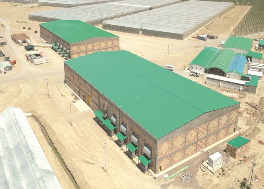 Advanced Cold Storage System