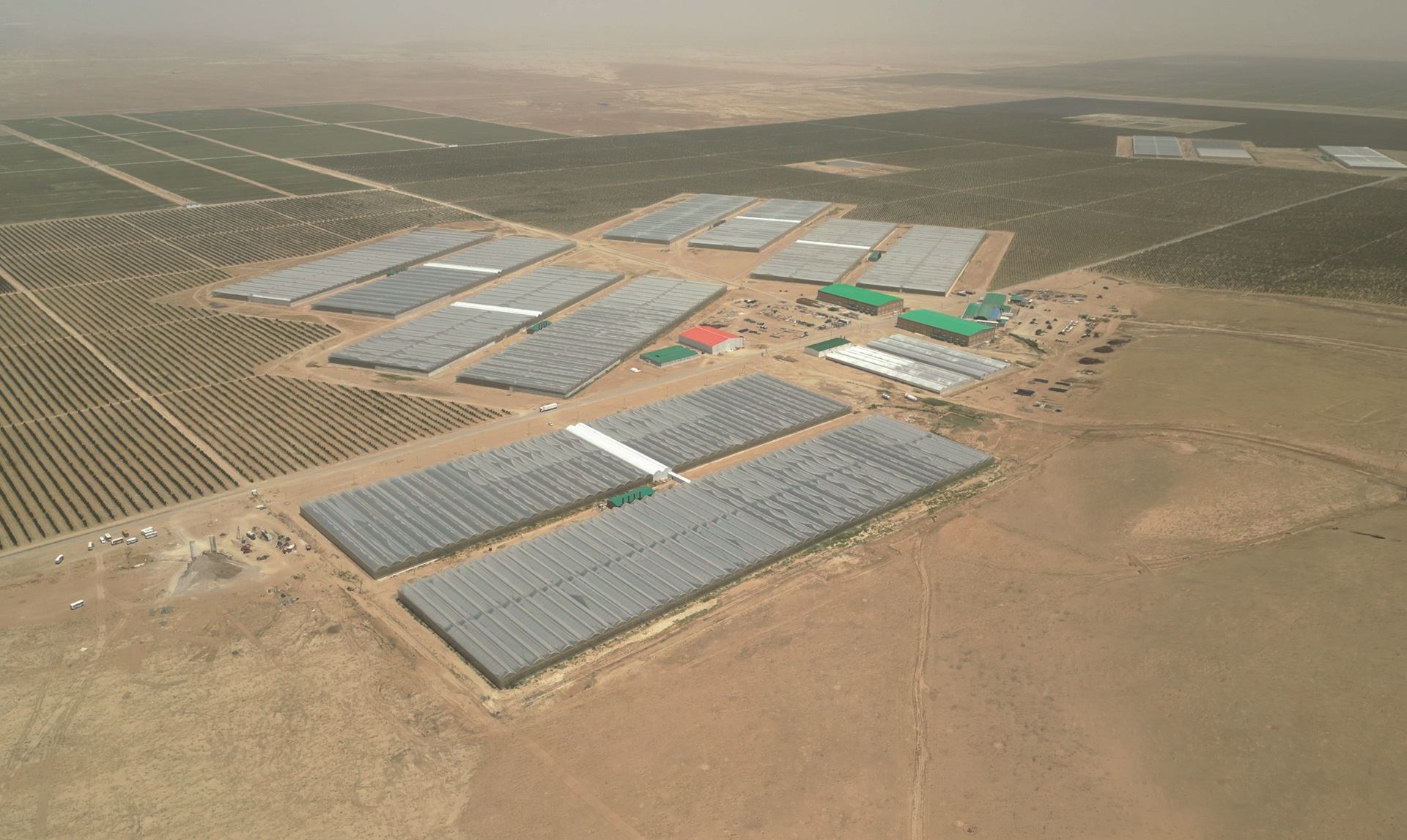 High-Tech Greenhouse for Banana Farming