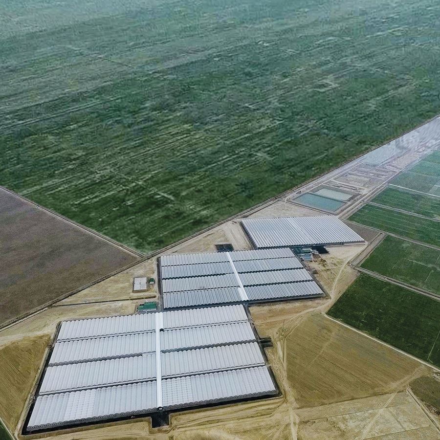 Future-Ready Agro-Industrial Infrastructure