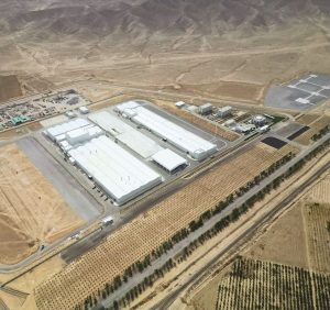 «BAHERDEN» Ceramic & Porselain Plant